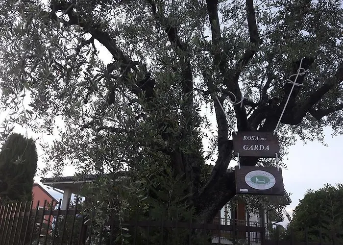 Bed and breakfast Rosa Del Garda Lazise